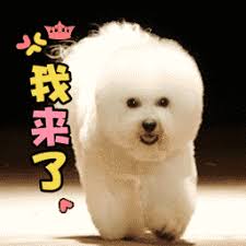 slot gacor gratis Hokage Senju Hashirama pertama yang pernah membuatmu menjadi anjing yang hilang